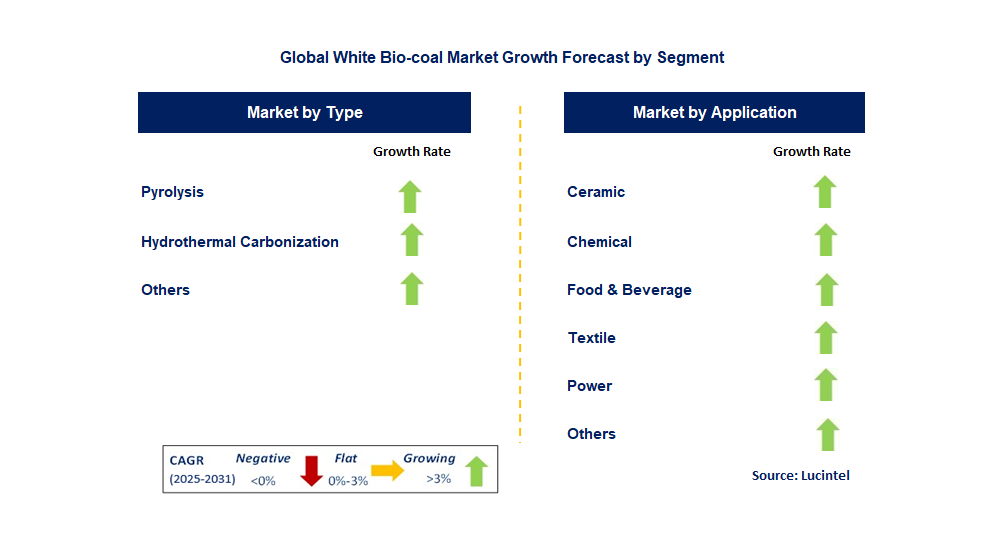 White Bio-coal Market by Segment