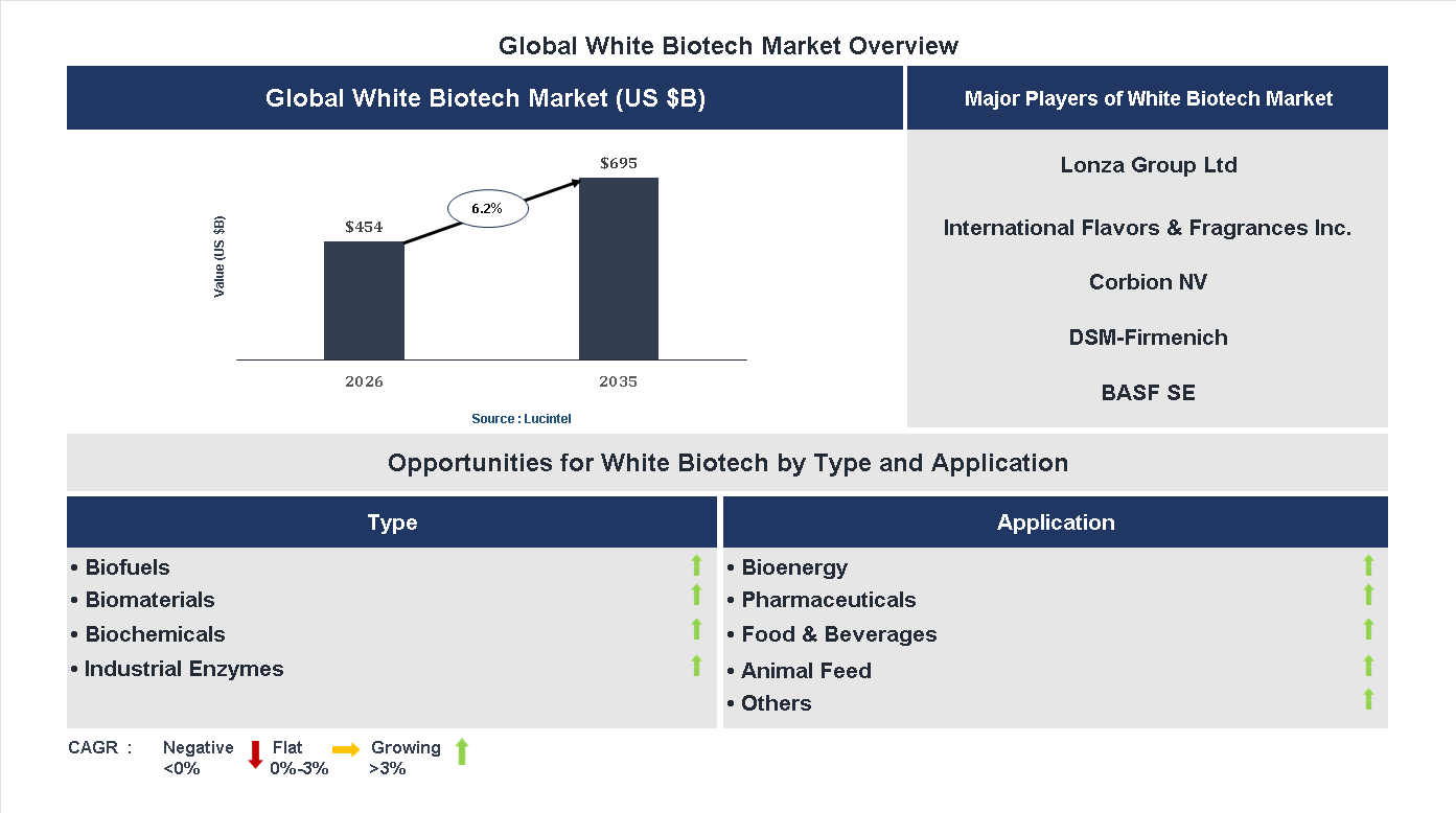 White Biotech Market Trends and Forecast
