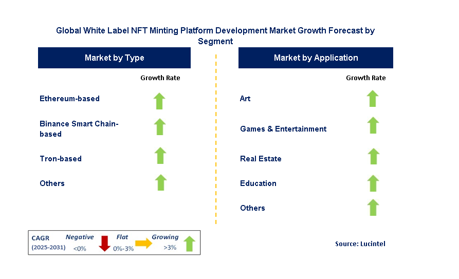 White Label NFT Minting Platform Development Market by Segment
