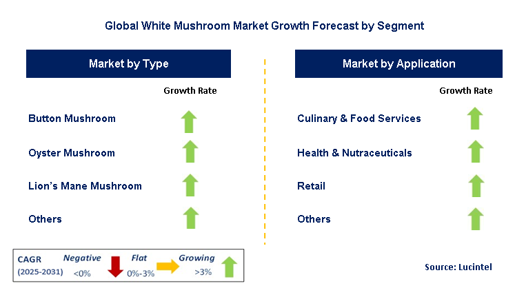 White Mushroom Market by Segment