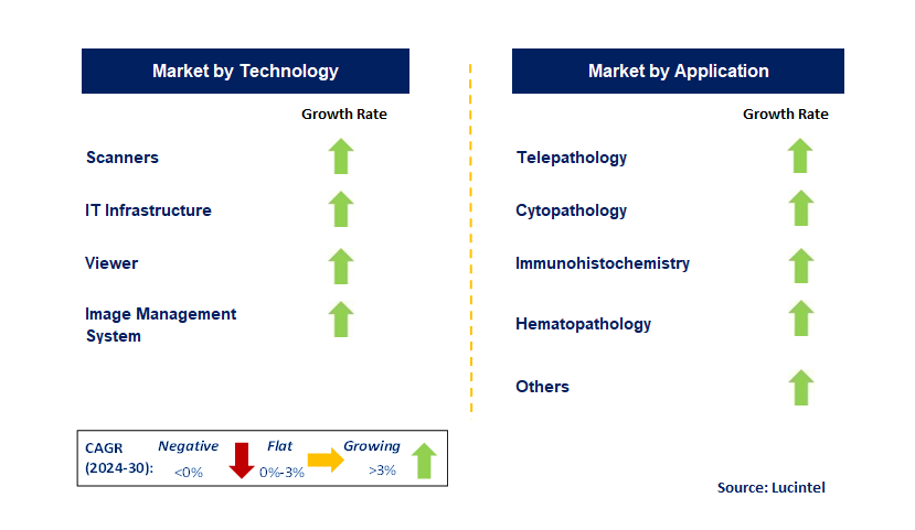 Whole Slide Imaging by Segment