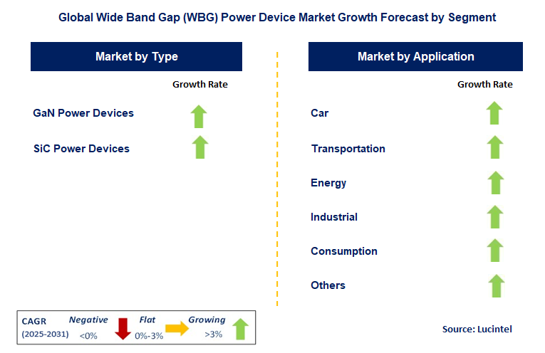 Wide Band Gap (WBG) Power Device Market by Segment
