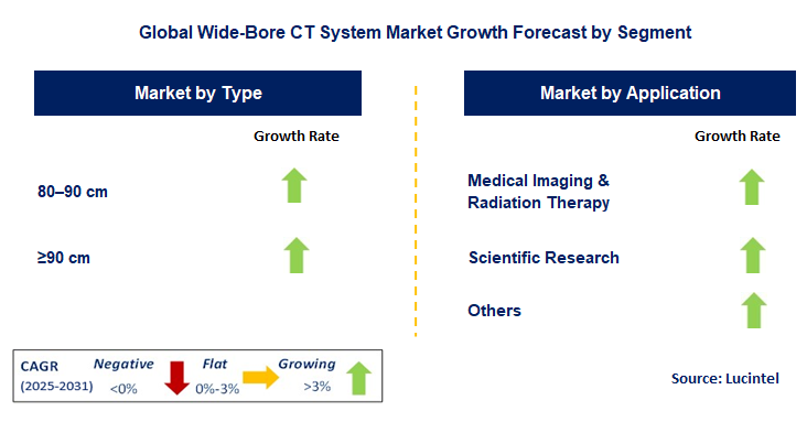 Wide-Bore CT System Market by Segment
