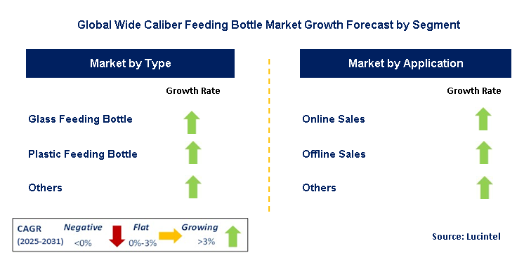 Wide Caliber Feeding Bottle Market by Segment