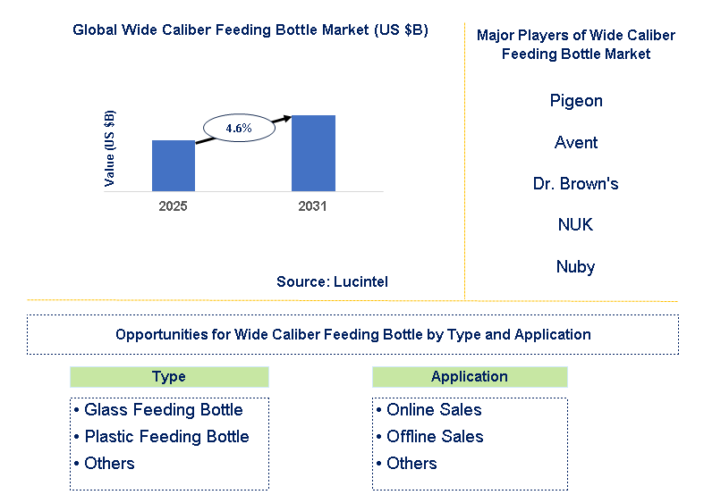 Wide Caliber Feeding Bottle Market Trends and Forecast