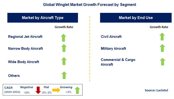 Winglet Market by Segment