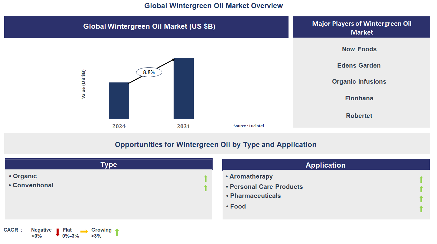 Wintergreen Oil Market Trends and Forecast
