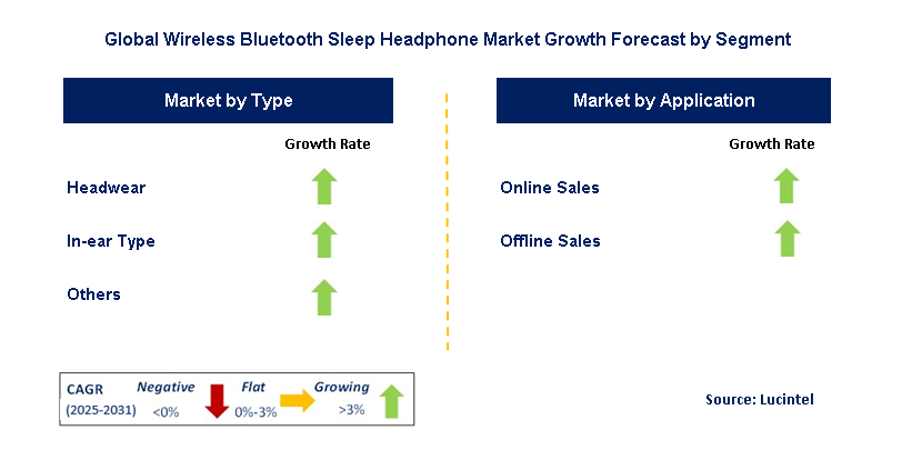 Wireless Bluetooth Sleep Headphone Market by Segment