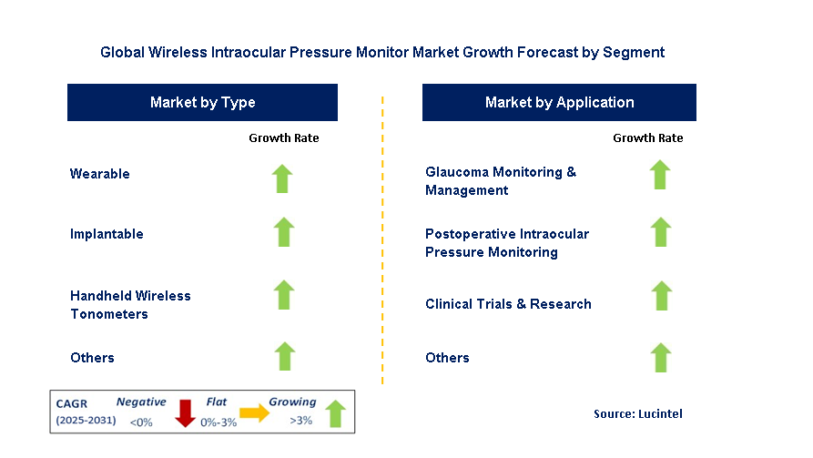 Wireless Intraocular Pressure Monitor Market by Segment