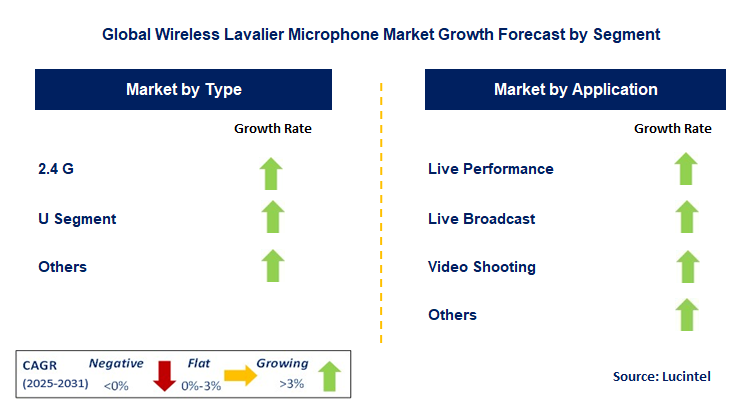 Wireless Lavalier Microphone Market by Segment
