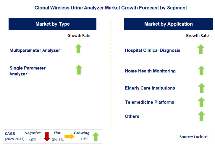 Wireless Urine Analyzer Market by Segment