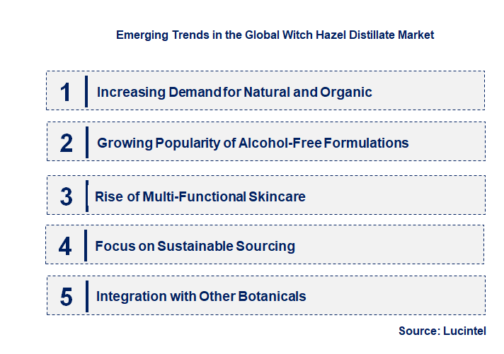Emerging Trends in the Witch Hazel Distillate Market