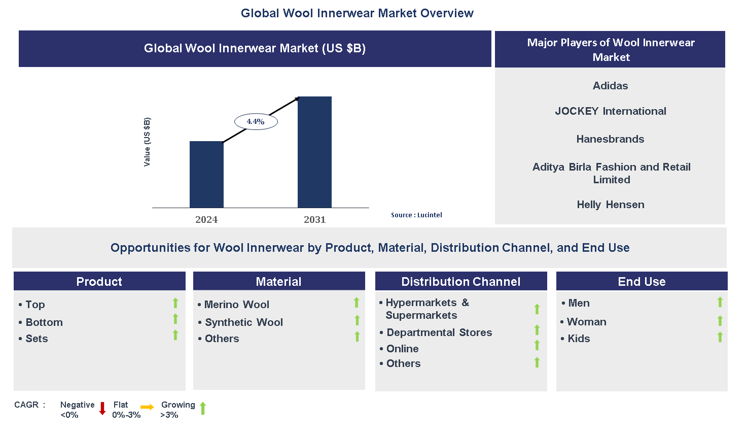 Wool Innerwear Market Trends and Forecast