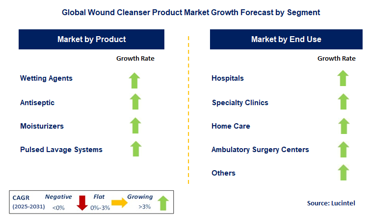 Wound Cleanser Product Market by Segment