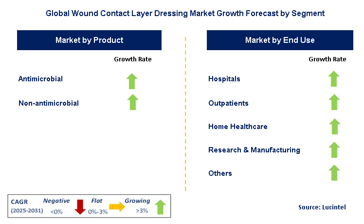 Wound Contact Layer Dressing Market by Segment