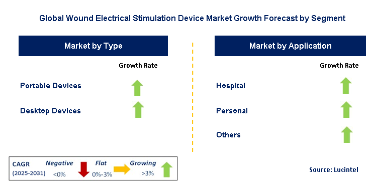 Wound Electrical Stimulation Device Market by Segment