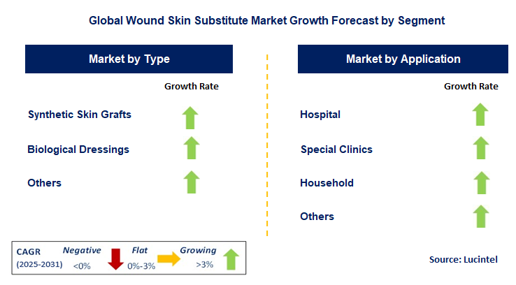 Wound Skin Substitute Market by Segment
