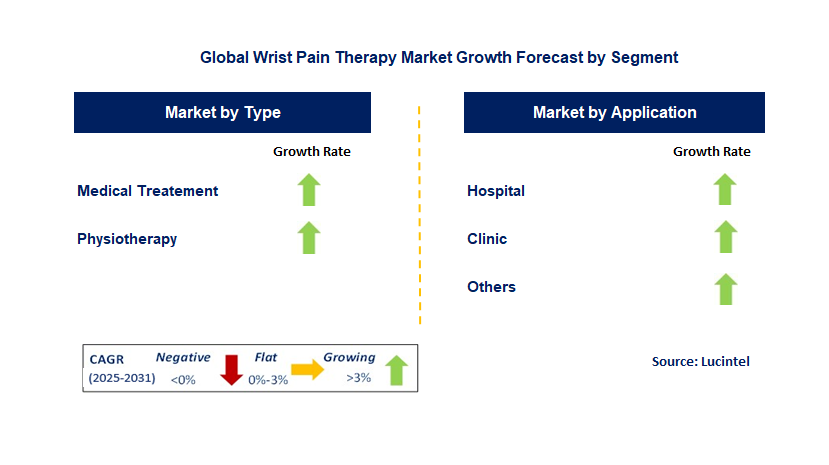 Wrist Pain Therapy Market by Segment