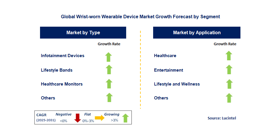 Wrist-worn Wearable Device Market by Segment