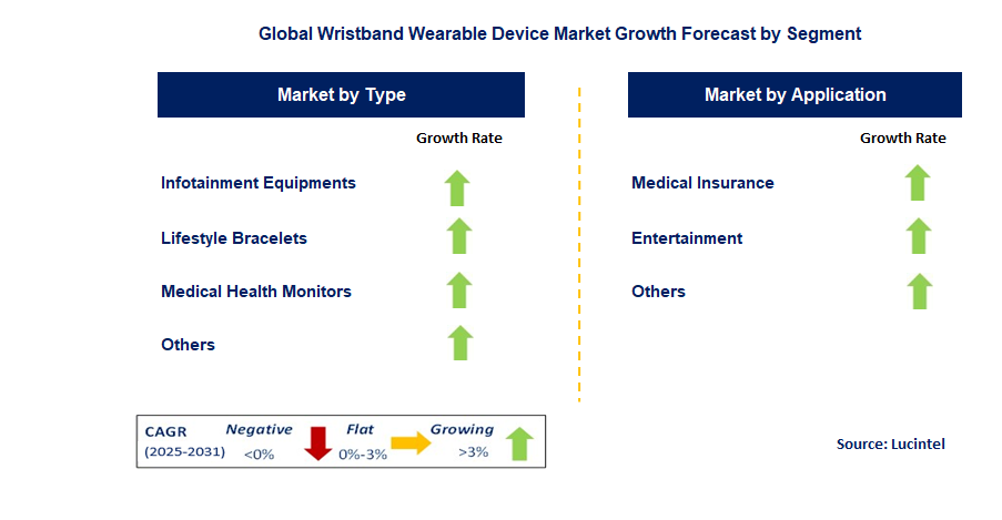 Wristband Wearable Device Market by Segment