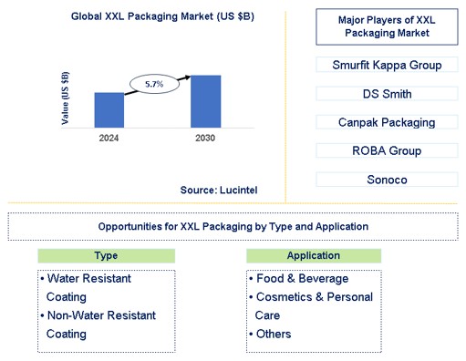 XXL Packaging Market Trends and Forecast