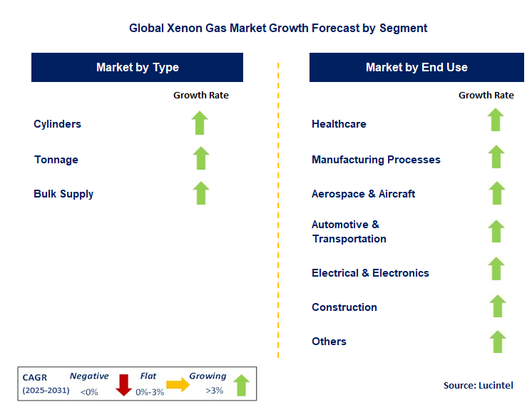 Xenon Gas Market by Segment