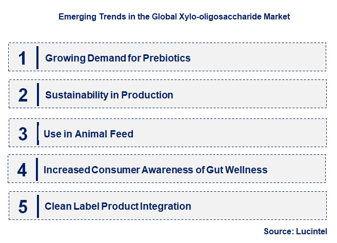 Emerging Trends in the Xylo-oligosaccharide Market