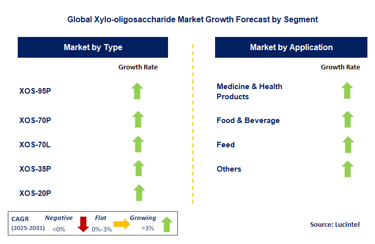 Xylo-oligosaccharide Market by Segment