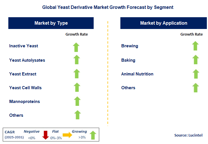 Yeast Derivative Market by Segment