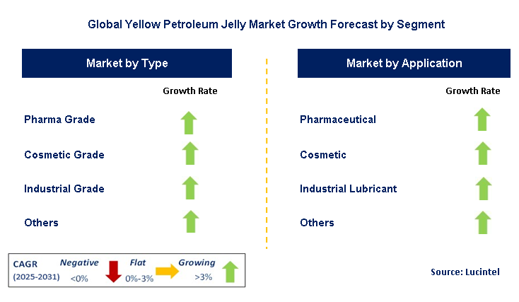 Yellow Petroleum Jelly Market by Segment