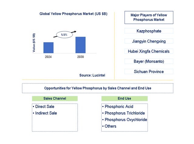Yellow Phosphorus Trends and Forecast
