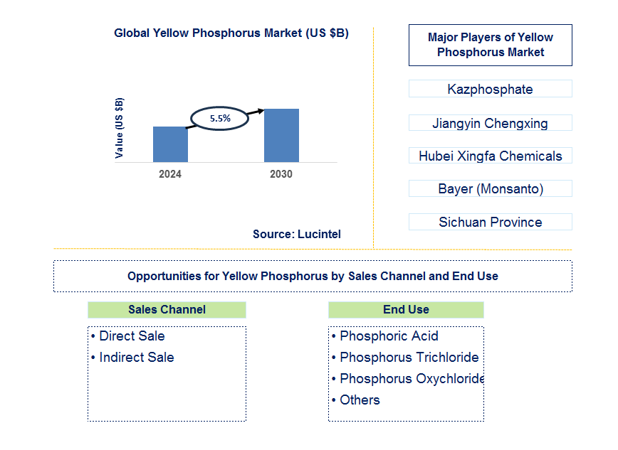 Yellow Phosphorus Trends and Forecast