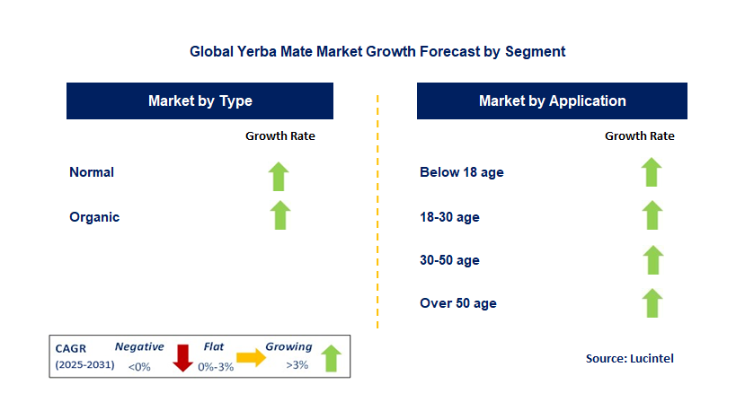 Yerba Mate Market by Segment