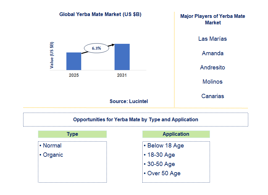 Yerba Mate Market Trends and Forecast
