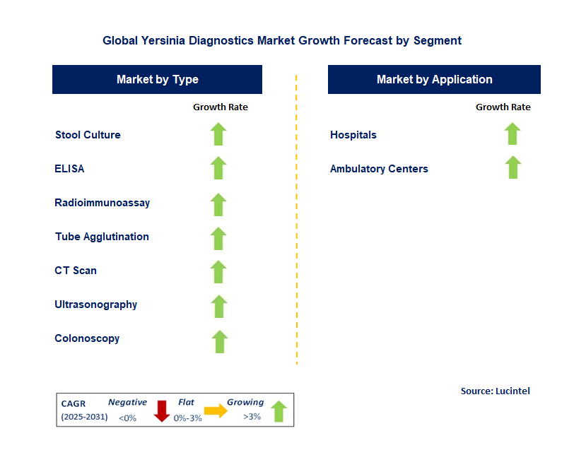 Yersinia Diagnostics Market by Segment