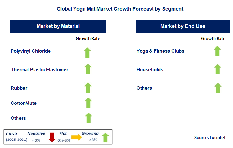 Yoga Mat Market by Segment