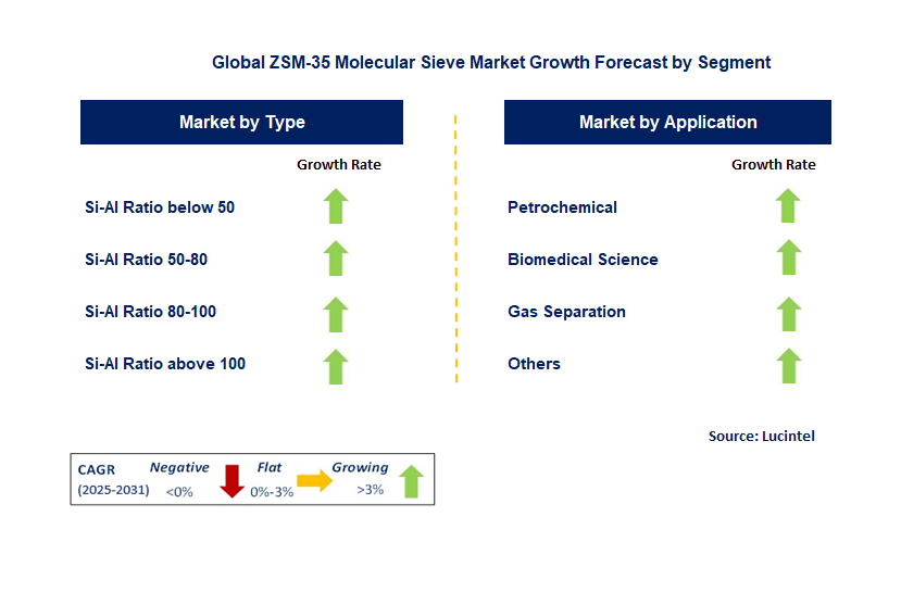 ZSM-35 Molecular Sieve Market by Segment