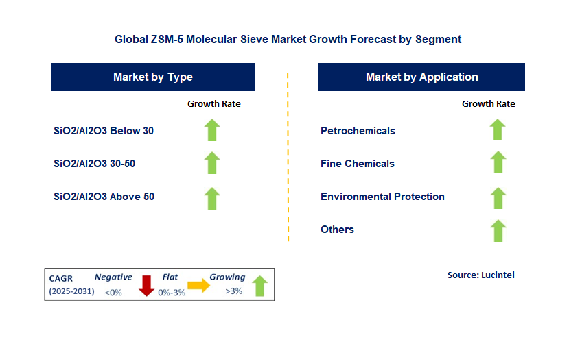 ZSM-5 Molecular Sieve Market by Segment