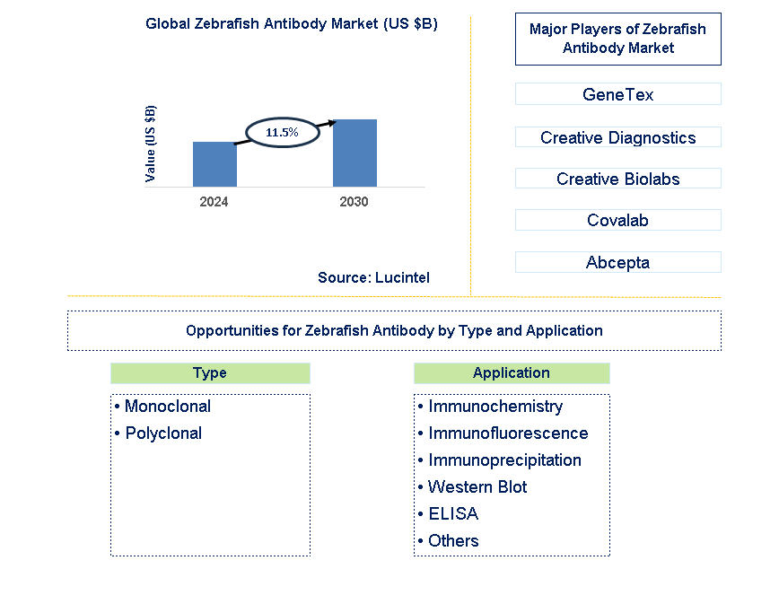 Zebrafish Antibody Trends and Forecast