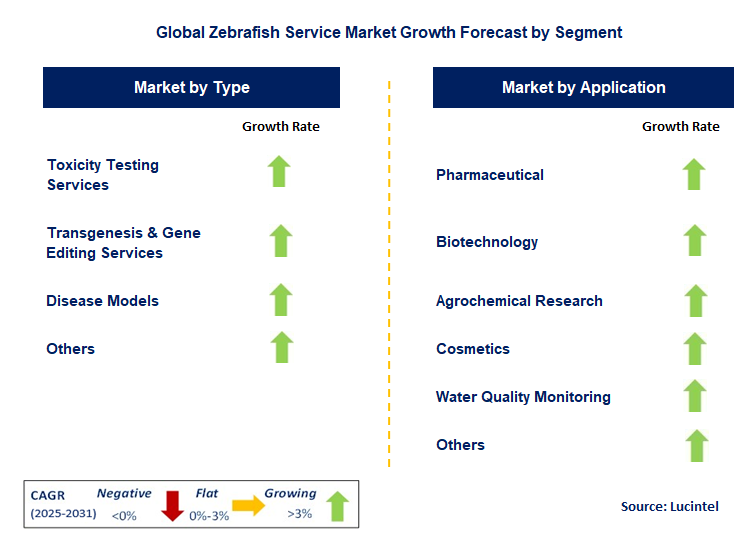 Zebrafish Service Market by Segment