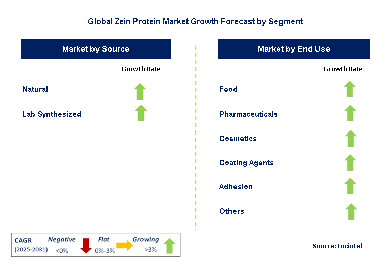 Zein Protein Market by Segment