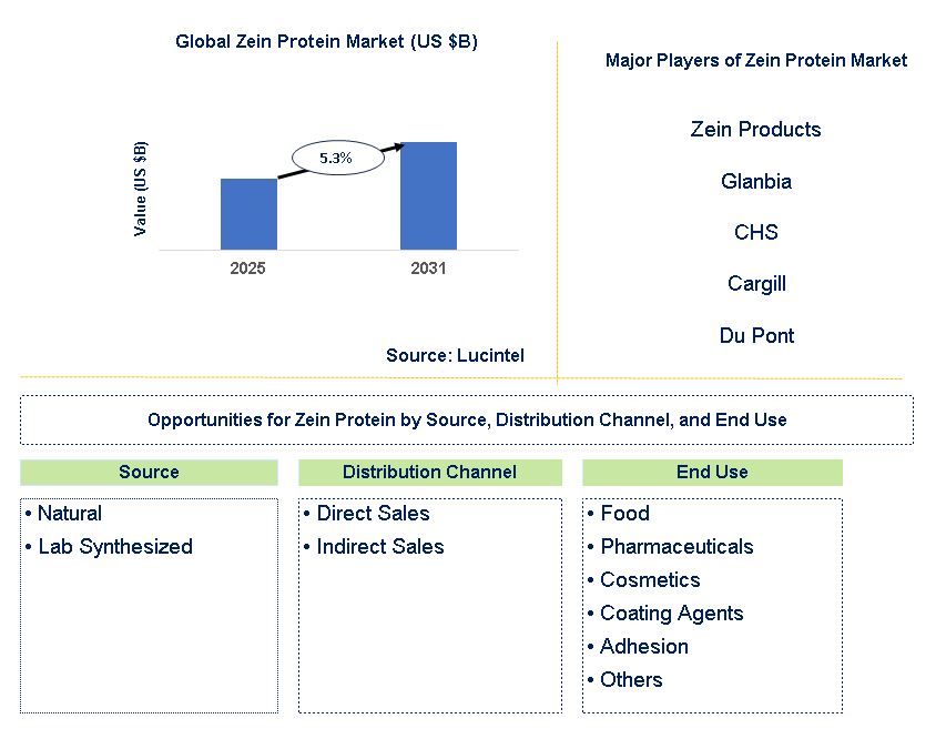 Zein Protein Market Trends and Forecast
