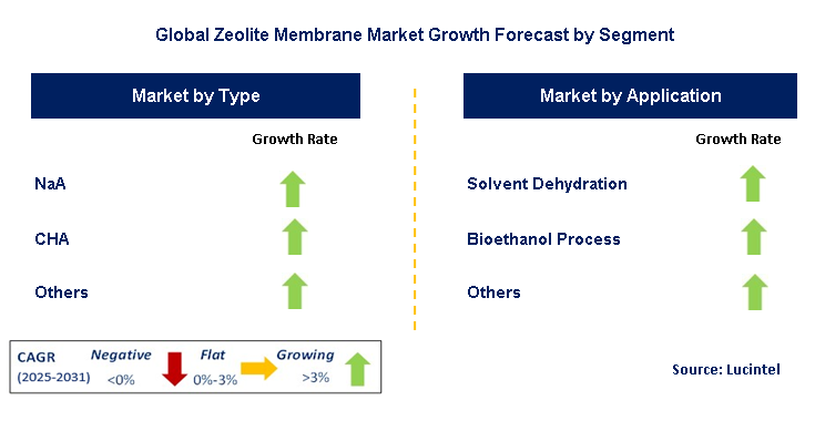 Zeolite Membrane Market by Segment