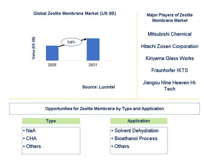 Zeolite Membrane Market Trends and Forecast