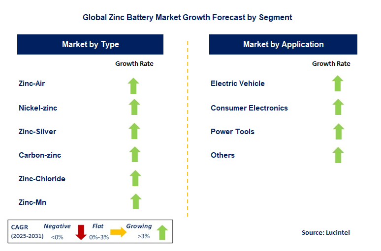 Zinc Battery Market by Segment