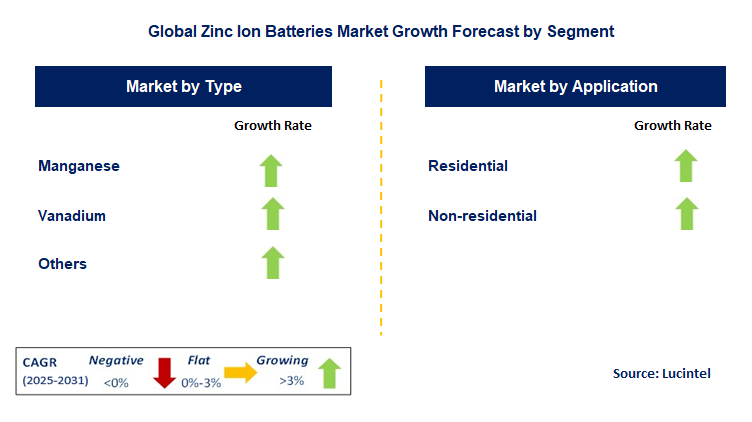Zinc Ion Batteries Market by Segment