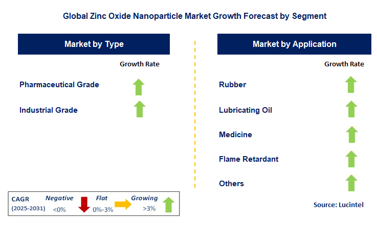 Zinc Oxide Nanoparticle Market by Segment