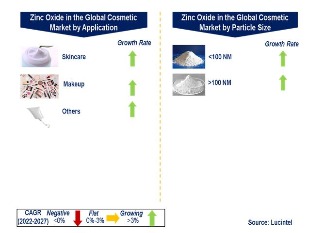 Zinc Oxide in the Global Cosmetic Market by Segments