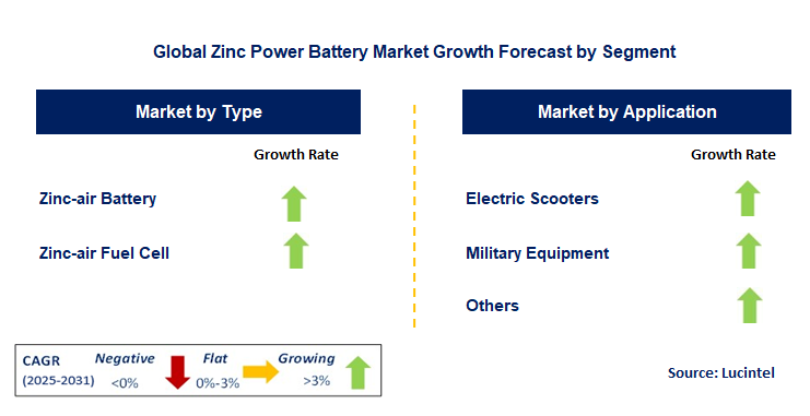 Zinc Power Battery Market by Segment