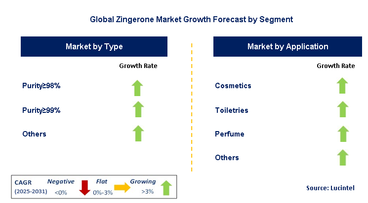 Zingerone Market by Segment